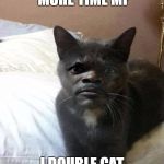 Say meow again | SAY MEOW 1 MORE TIME MF; I DOUBLE CAT DARE YOU | image tagged in samuel l catson,cats,funny,meme | made w/ Imgflip meme maker