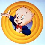 Porky pig meme