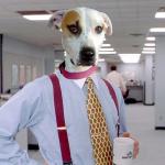 Office Space Pit Bull