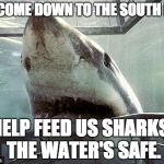 JAWS  | HI! COME DOWN TO THE SOUTH BAY; HELP FEED US SHARKS.  THE WATER'S SAFE. | image tagged in jaws | made w/ Imgflip meme maker
