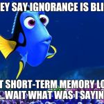 Dory Meme Generator - Imgflip