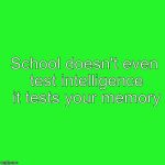 Greenscreen | School doesn't even test intelligence it tests your memory | image tagged in greenscreen | made w/ Imgflip meme maker