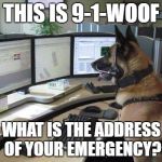 Hey Boss, I am taking a sick day - my dog can fill in for me, though! | THIS IS 9-1-WOOF; WHAT IS THE ADDRESS OF YOUR EMERGENCY? | image tagged in police dog,911 | made w/ Imgflip meme maker