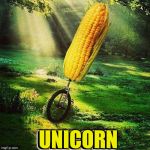 The corn sure can ride | UNICORN; UNICORN; UNICORN | image tagged in unicorn,unless you a meme,memes to gifs are here,lets all meme,memes are cool,corn is food | made w/ Imgflip meme maker