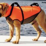 LifeJacket Dog