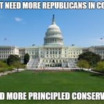 Don't get me started on the democrats. | WE DON'T NEED MORE REPUBLICANS IN CONGRESS; WE NEED MORE PRINCIPLED CONSERVATIVES | image tagged in capital,republicans,conservatives,government corruption,hypocrisy | made w/ Imgflip meme maker