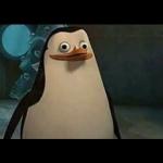 Confused penguin meme