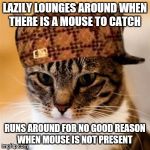 Scumbag Cat | LAZILY LOUNGES AROUND WHEN THERE IS A MOUSE TO CATCH; RUNS AROUND FOR NO GOOD REASON WHEN MOUSE IS NOT PRESENT | image tagged in scumbag cat | made w/ Imgflip meme maker