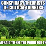 trees | CONSPIRACY THEORISTS IE. CRITICAL THINKERS; ARE NOT AFRAID TO SEE THE WOOD FOR THE TREES | image tagged in trees | made w/ Imgflip meme maker