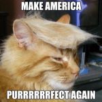 Cat Trump | MAKE AMERICA; PURRRRRRFECT AGAIN | image tagged in cat trump | made w/ Imgflip meme maker