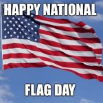 National flag day  | HAPPY NATIONAL; FLAG DAY | image tagged in national flag day | made w/ Imgflip meme maker