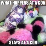 Furry b | WHAT HAPPENS AT A CON; STAYS AT A CON | image tagged in furry b,furry,furries,fandom,waifu,convention | made w/ Imgflip meme maker