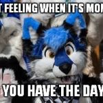 furry | THAT FEELING WHEN IT'S MONDAY; AND YOU HAVE THE DAY OFF | image tagged in furry,furries,fandom | made w/ Imgflip meme maker