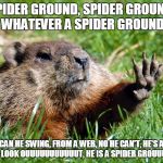 Groundhog | SPIDER GROUND, SPIDER GROUND, DOES WHATEVER A SPIDER GROUND DOES; CAN HE SWING, FROM A WEB, NO HE CAN'T, HE'S A GROUND, LOOK OUUUUUUUUUUUT, HE IS A SPIDER GROUUUUUUUND | image tagged in groundhog,spiderground,spider ground | made w/ Imgflip meme maker