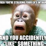 Curse these man thumbs of mine. | WHEN YOU'RE STALKING YOUR EX'S INTAGRAM; AND YOU ACCIDENTLY "LIKE" SOMETHING | image tagged in oh shit monkey | made w/ Imgflip meme maker