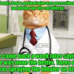 True story from a doctor friend.  | I once had a patient who was prescribed an inhaler for his cat allergy. He came back a week later saying he was none the better. Turns out he was spraying the inhaler on his cat. | image tagged in cat doctor | made w/ Imgflip meme maker