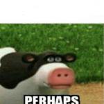Perhaps Cow meme
