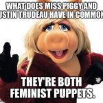 Miss Piggy | WHAT DOES MISS PIGGY AND JUSTIN TRUDEAU HAVE IN COMMON? THEY'RE BOTH FEMINIST PUPPETS. | image tagged in miss piggy | made w/ Imgflip meme maker