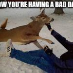 Deer of failure | YOU KNOW YOU'RE HAVING A BAD DAY WHEN | image tagged in deer of failure | made w/ Imgflip meme maker