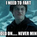 harry potter farts | I NEED TO FART; HOLD ON...... NEVER MIND | image tagged in harry potter farts | made w/ Imgflip meme maker