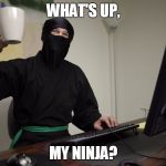 Office Ninja | WHAT'S UP, MY NINJA? | image tagged in office ninja | made w/ Imgflip meme maker