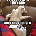 Do the Hokey Pokey | YOU DO THE HOKEY POKEY AND... YOU TURN YOURSELF ABOUT ♫♪♫ | image tagged in twisted,hokey pokey,funny cat memes | made w/ Imgflip meme maker