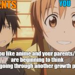 Sword Art Online | PARENTS; YOU; When you like anime and your parents/friends are beginning to think your going through another growth phase | image tagged in sword art online | made w/ Imgflip meme maker