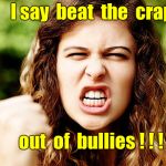Beat the Crap out of Bullies! | I say  beat  the  crap; out  of  bullies ! ! ! | image tagged in angry woman shaking fist,bully,memes | made w/ Imgflip meme maker