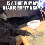 I a need another drink Sam | IS A THAT WHY MY A JAR IS EMPTY A SAM? | image tagged in noah gump at bar,a noah now,mene you see a wing wang,blow the dogs down dog doggy boy,cats cat too | made w/ Imgflip meme maker