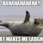 laughing seal | BAHAHAHAHAHA!! THAT MAKES ME LAUGH!!!! | image tagged in laughing seal | made w/ Imgflip meme maker