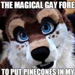 Austin the Furry | IN THE MAGICAL GAY FOREST; I LIKE TO PUT PINECONES IN MY BUTT | image tagged in austin the furry | made w/ Imgflip meme maker