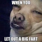 Too Dank | WHEN YOU; LET OUT A BIG FART | image tagged in too dank | made w/ Imgflip meme maker