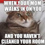 uh i can explain mom | WHEN YOUR MOM WALKS IN ON YOU; AND YOU HAVEN'T CLEANED YOUR ROOM | image tagged in mother,cat,cute | made w/ Imgflip meme maker