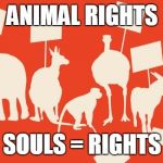 Animal Rights | ANIMAL RIGHTS; SOULS = RIGHTS | image tagged in animal rights | made w/ Imgflip meme maker