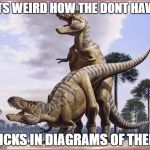 horny t rex | ITS WEIRD HOW THE DONT HAVE; DICKS IN DIAGRAMS OF THEM | image tagged in horny t rex | made w/ Imgflip meme maker