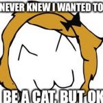 Derpina | NEVER KNEW I WANTED TO BE A CAT, BUT OK | image tagged in memes,derpina | made w/ Imgflip meme maker
