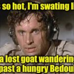 It's so hot right now | It's so hot, I'm swating like; a lost goat wandering past a hungry Bedouin | image tagged in sweaty,so hot right now,memes | made w/ Imgflip meme maker