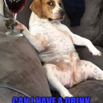 Dog drinking wine | THEN HE SAID; CAN I HAVE A DRINK OF YOUR WINE? | image tagged in dog drinking wine | made w/ Imgflip meme maker