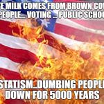 Burning Flag | CHOCOLATE MILK COMES FROM BROWN COWS ...GUNS KILL PEOPLE... VOTING ... PUBLIC SCHOOLS; STATISM..DUMBING PEOPLE DOWN FOR 5000 YEARS | image tagged in burning flag | made w/ Imgflip meme maker