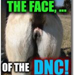 Why the DNC illegally picked Hillary over Bernie | THE FACE, ... OF THE; DNC! | image tagged in libtard mirror,memes,funny | made w/ Imgflip meme maker