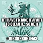 virgo | IF I HAVE TO TAKE IT APART TO CLEAN IT... SO BE IT; #VIRGOPROBLEMS | image tagged in virgo | made w/ Imgflip meme maker