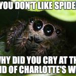 missunder stoood spider | IF YOU DON'T LIKE SPIDERS; WHY DID YOU CRY AT THE END OF CHARLOTTE'S WEB | image tagged in missunder stoood spider | made w/ Imgflip meme maker