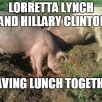 Pigs digging | LORRETTA LYNCH AND HILLARY CLINTON; HAVING LUNCH TOGETHER | image tagged in pigs digging | made w/ Imgflip meme maker