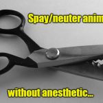 Pinking Shears | Spay/neuter animal abusers; without anesthetic... | image tagged in pinking shears | made w/ Imgflip meme maker