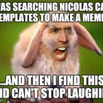 Nicolas Cage Bunny | I WAS SEARCHING NICOLAS CAGE TEMPLATES TO MAKE A MEME... ...AND THEN I FIND THIS AND CAN'T STOP LAUGHING | image tagged in nicolas cage bunny | made w/ Imgflip meme maker