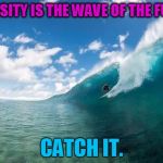 Catch waves not pokemon | DIVERSITY IS THE WAVE OF THE FUTURE; CATCH IT. | image tagged in catch waves not pokemon | made w/ Imgflip meme maker