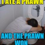 Inspired by WayneUrso | I ATE A PRAWN; AND THE PRAWN WON... | image tagged in drunk puking toilet,memes,the clash,i fought the law,food,animals | made w/ Imgflip meme maker