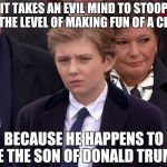 Baron Trump | IT TAKES AN EVIL MIND TO STOOP TO THE LEVEL OF MAKING FUN OF A CHILD; BECAUSE HE HAPPENS TO BE THE SON OF DONALD TRUMP | image tagged in baron trump | made w/ Imgflip meme maker