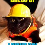 Young cat... There's no need to feel down... | I SAID I'D DRESS UP; I DIDN'T SAY I'D SING "YMCA"... | image tagged in construction cat,memes,village people,ymca,music,cats | made w/ Imgflip meme maker