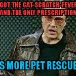 Walken | I GOT THE CAT-SCRATCH-FEVER..              AND THE ONLY PRESCRIPTION; IS MORE PET RESCUE! | image tagged in walken | made w/ Imgflip meme maker